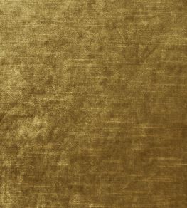 Allure Fabric by Clarke & Clarke Gold