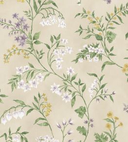 Almora Wallpaper by Nina Campbell 2 Almora Wallpaper by Nina Campbell 2