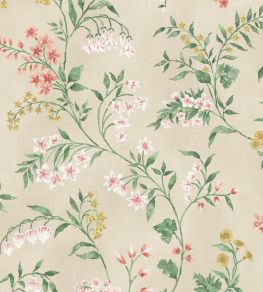 Almora Wallpaper by Nina Campbell 3 Almora Wallpaper by Nina Campbell 3