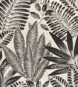 Aloe Wallpaper by Casamance Noir/Grege Aloe Wallpaper by Casamance Noir/Grege