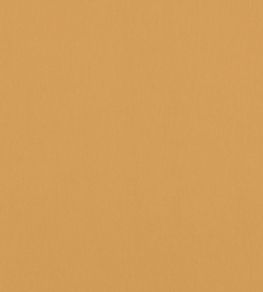 Alto Velvet Fabric by Thibaut Honey Alto Velvet Fabric by Thibaut Honey