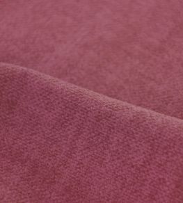 Amara FR Fabric by Casal Pivoine