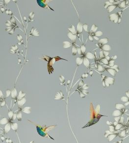 Amazilia Wallpaper by Harlequin French Grey / Stone Amazilia Wallpaper by Harlequin French Grey / Stone