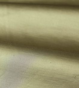 Amoret Performance Fabric by Zoffany Sage