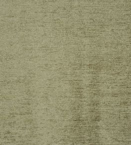 Anderson Fabric by Prestigious Textiles Basil Anderson Fabric by Prestigious Textiles Basil