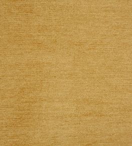Anderson Fabric by Prestigious Textiles Saffron