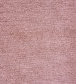 Anderson Fabric by Prestigious Textiles Shell Anderson Fabric by Prestigious Textiles Shell