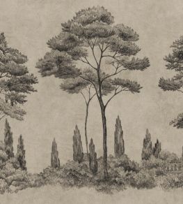 Andrea Mural by Sandberg Graphite Andrea Mural by Sandberg Graphite