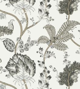 Kalamkari Vine Wallpaper by Anna French Black and White Kalamkari Vine Wallpaper by Anna French Black and White