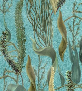 Aquatic Plants Wallpaper by MINDTHEGAP Aquamarine Aquatic Plants Wallpaper by MINDTHEGAP Aquamarine