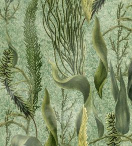 Aquatic Plants Wallpaper by MINDTHEGAP Green Aquatic Plants Wallpaper by MINDTHEGAP Green