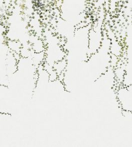 Aralia Mural by Sandberg Moss Green Aralia Mural by Sandberg Moss Green