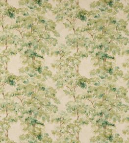 Arbour Fabric by Colefax and Fowler Leaf Green Arbour Fabric by Colefax and Fowler Leaf Green