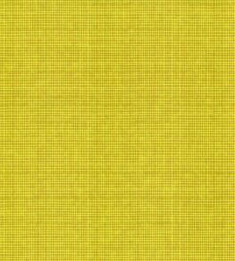 Arden Fabric by Wemyss Zest