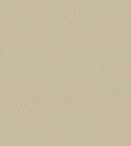 Pantheon Wallpaper by Armani Casa 9242