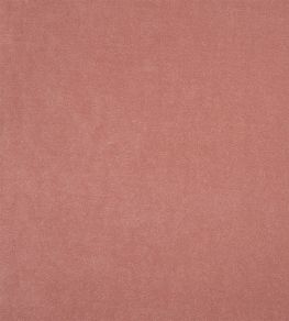 Arona Fabric by Designers Guild Blossom