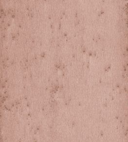 Stellar Wallpaper by Arte 3 Stellar Wallpaper by Arte 3