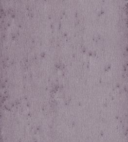 Stellar Wallpaper by Arte 4 Stellar Wallpaper by Arte 4