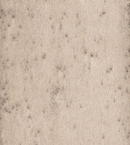 Stellar Wallpaper by Arte 7 Stellar Wallpaper by Arte 7
