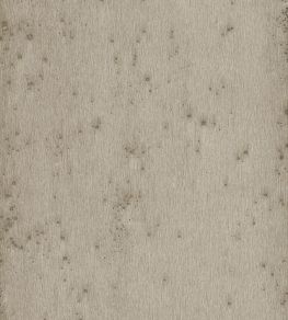 Stellar Wallpaper by Arte 8 Stellar Wallpaper by Arte 8