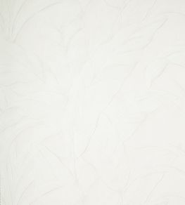 Musa Wallpaper by Arte 1
