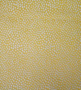 Blean Fabric by Ashley Wilde Buttercup