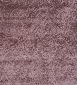 Ayla Fabric by Prestigious Textiles Rose Quartz Ayla Fabric by Prestigious Textiles Rose Quartz