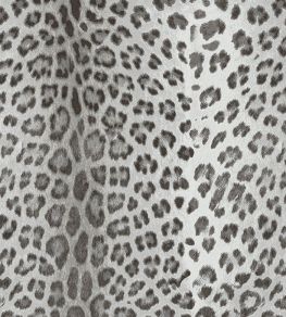 Baby Leopard Fabric by Arley House Granite Baby Leopard Fabric by Arley House Granite