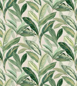 Baby Oasis Fabric by Arley House Spring Baby Oasis Fabric by Arley House Spring