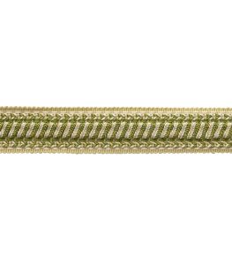 Bagatelle Braid Trimming by Samuel & Sons Fern Bagatelle Braid Trimming by Samuel & Sons Fern