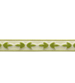 Bagatelle Velvet Border Trimming by Samuel & Sons Fern Bagatelle Velvet Border Trimming by Samuel & Sons Fern