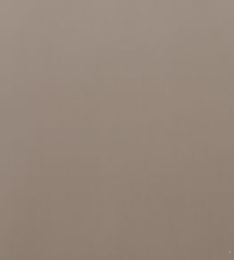 Montpellier Velvet Fabric by Baker Lifestyle Taupe Montpellier Velvet Fabric by Baker Lifestyle Taupe