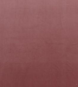 Montpellier Velvet Fabric by Baker Lifestyle Rose Montpellier Velvet Fabric by Baker Lifestyle Rose