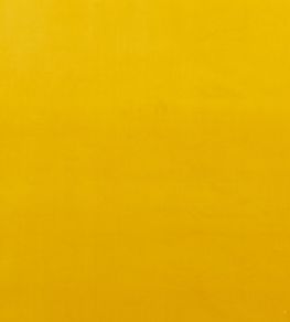Montpellier Velvet Fabric by Baker Lifestyle Ochre