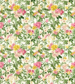 Bamboo & Birds Fabric by Sanderson Scallion Green / Fushia Bamboo & Birds Fabric by Sanderson Scallion Green / Fushia