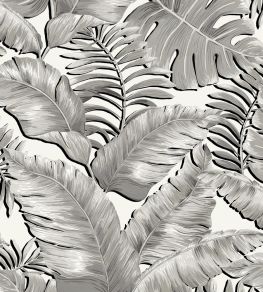 Banana Leaves Max Wallpaper by Brand McKenzie Black / White Banana Leaves Max Wallpaper by Brand McKenzie Black / White
