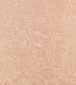 Bandra Fabric by Zinc Blush Bandra Fabric by Zinc Blush