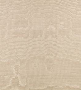 Bandra Fabric by Zinc Shingle