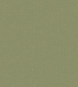 Baobab Wallpaper by Jannelli&Volpi Green Baobab Wallpaper by Jannelli&Volpi Green