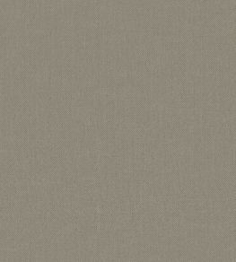 Baobab Wallpaper by Jannelli&Volpi Grey Baobab Wallpaper by Jannelli&Volpi Grey