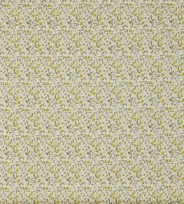 Barbara Fabric by Prestigious Textiles Cucumber Barbara Fabric by Prestigious Textiles Cucumber