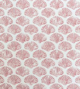 Scallop Shell Wallpaper by Barneby Gates Red Scallop Shell Wallpaper by Barneby Gates Red