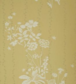 Wild Meadow Wallpaper by Barneby Gates Dandelion Wild Meadow Wallpaper by Barneby Gates Dandelion