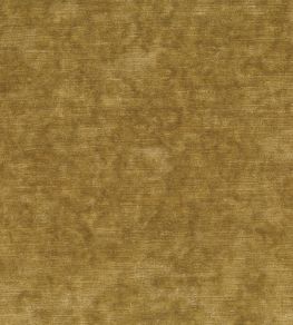 Belvedere Velvet Fabric by Osborne & Little Gold