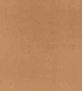 Benjamin Fabric by Zinc Camel Benjamin Fabric by Zinc Camel