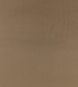 Benjamin Fabric by Zinc Driftwood Benjamin Fabric by Zinc Driftwood