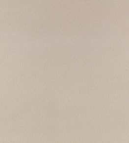 Benjamin Fabric by Zinc Silver Grey Benjamin Fabric by Zinc Silver Grey