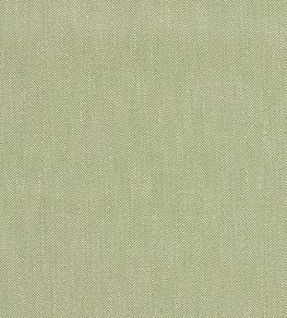 Benwick Fabric by Sanderson Leaf Green