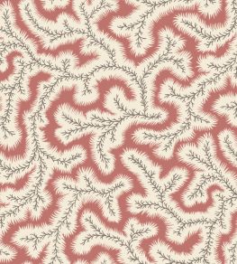 Big Dulcie Wallpaper by Ian Sanderson Coral