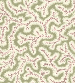 Big Dulcie Wallpaper by Ian Sanderson Sweet Pea Big Dulcie Wallpaper by Ian Sanderson Sweet Pea
